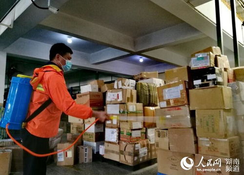 國際EMS郵件數量激增，醫療物資與蔬菜占比突出