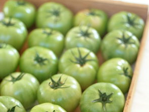 水果特寫 從鮮美圖庫到生活靈感